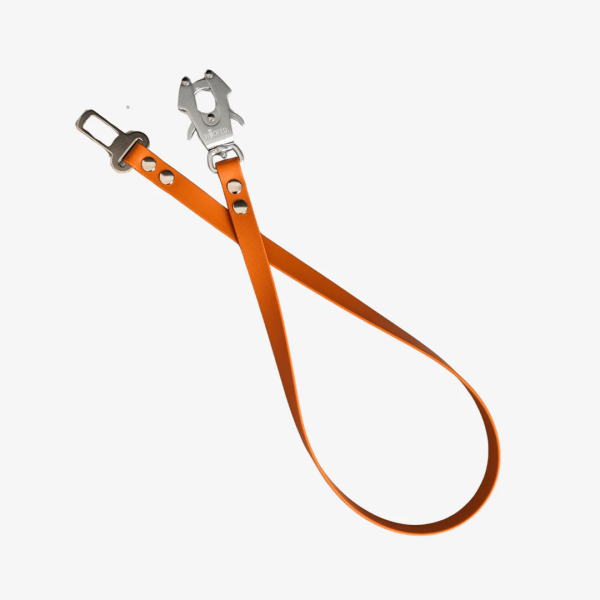 Anschnallgurt Hund - Anschnallgurt mit Froschkarabiner / 60cm