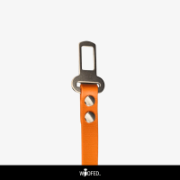 Anschnallgurt Hund - beidseitiger Froschkarabiner / 100cm