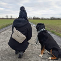 Multifunktionale Gassitasche - 2 in 1 Bauchtasche &...