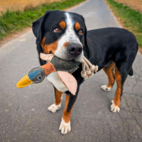 nachhaltiges Hundespielzeug Ente Ella